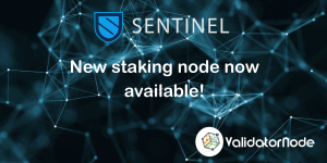New Sentinel Validator Node
